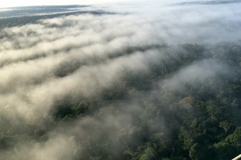 Chuva produzida pela Amazônia vale mais de R$ 100 bilhões por ano — imagem 1