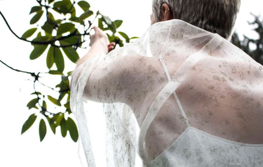 Moda Fotossintética: Está Pronta Para Comercialização? — imagem 1