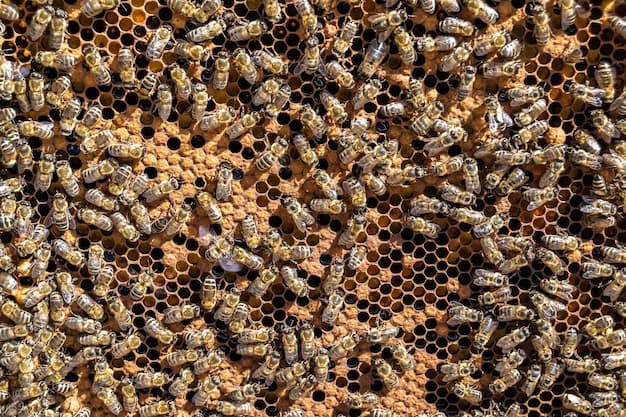 Até o trabalho dos animais será tokenizado? — imagem 1