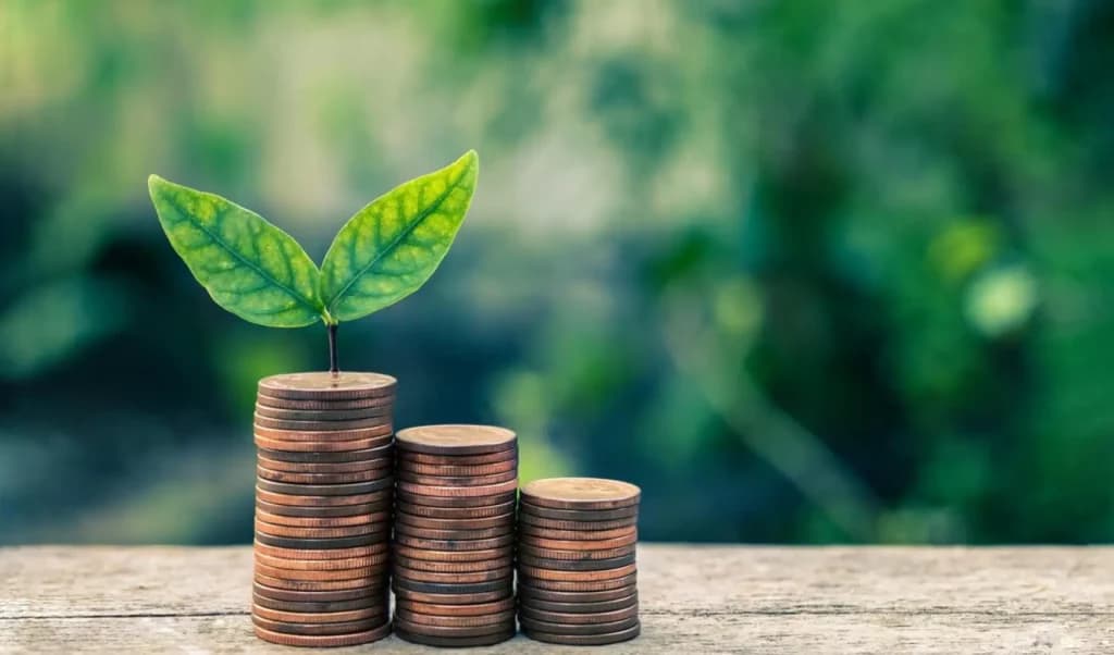 Impacto dos impostos verdes (Green tax): Mudança real ou licença moral? — imagem 1
