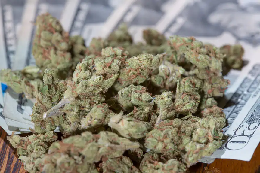 CLIMB Act busca criar porto seguro legal para bolsas listarem empresas de cannabis — imagem 1