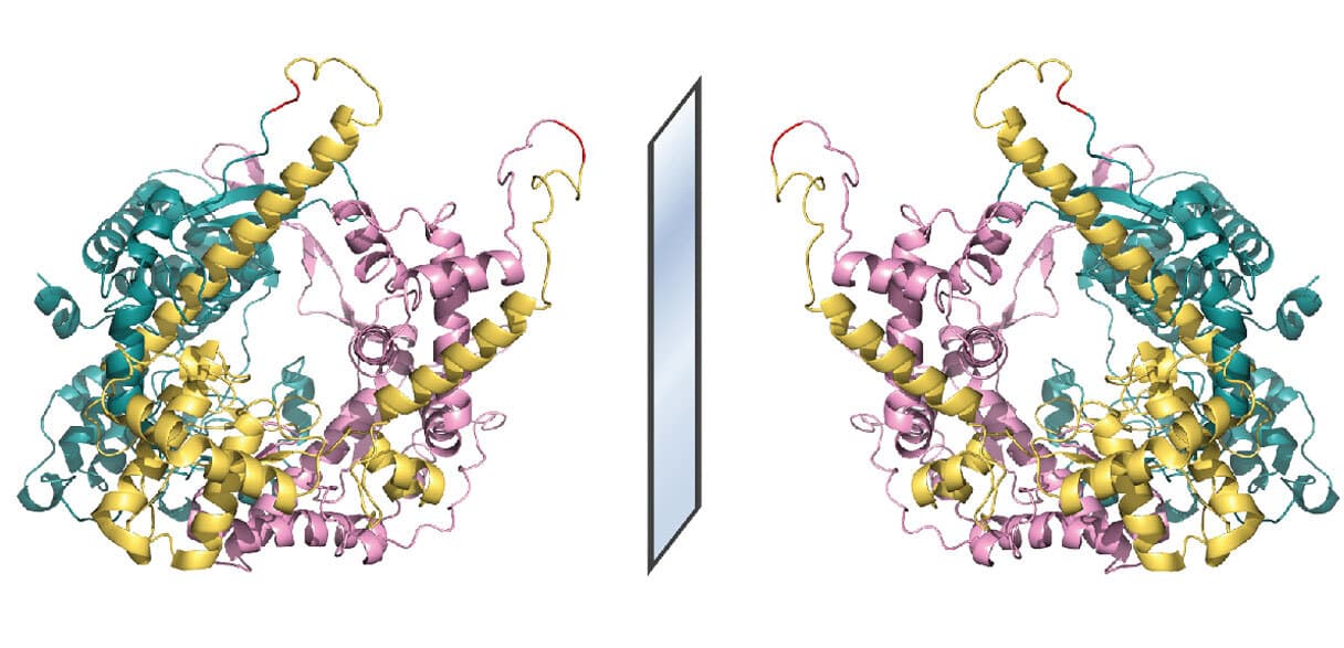 Vida Espelhada: Cientistas Alertam para Riscos Sem Precedentes — imagem 1